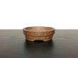 Photo1: "Matsushita Bonsai" Tokoname Pot / Japanese Bonsai Pot  (1)