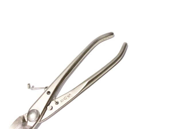 Photo4: Brunch cutter / Crescent Blade / Small size (MASAKUNI) (4)