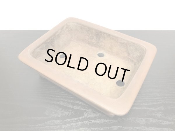 Photo5: "Nakano Gyouzan" Tokoname Pot / Japanese Bonsai Pot  (5)