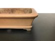 Photo2: "Nakano Gyouzan" Tokoname Pot / Japanese Bonsai Pot  (2)