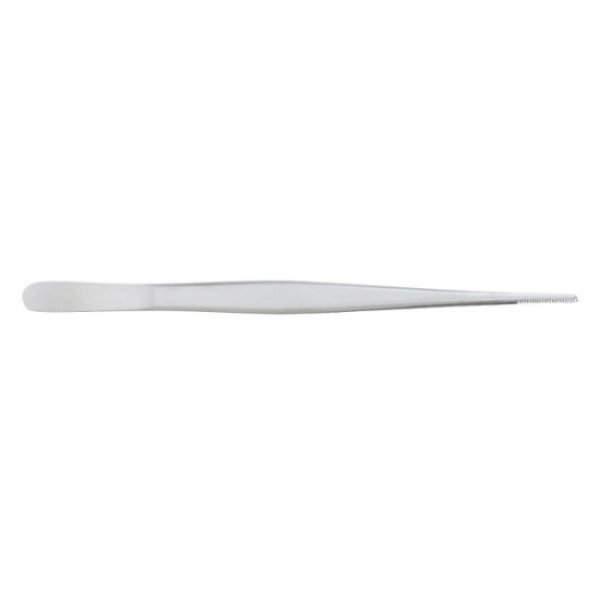 Photo1: Bonsai professional straight stainless steel tweezers (1)