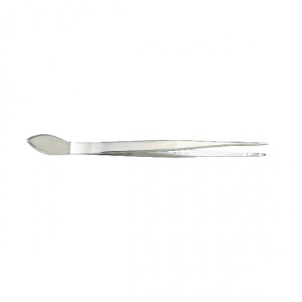 Photo1: Bonsai straight stainless steel tweezers (1)