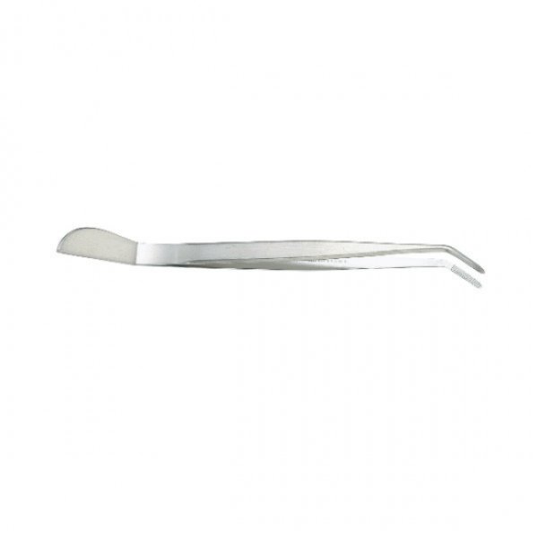 Photo1: Bonsai curved stainless steel tweezers (1)