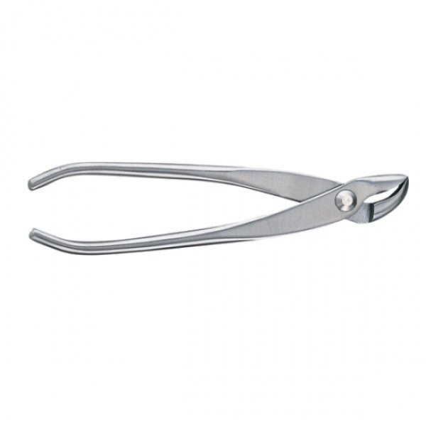 Photo1: Bonsai stainless steel jin pliers (Small) (1)