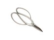 Photo1: Bonsai scissors / Stainless steel (KIKUWA) (1)
