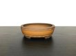 Photo1: "Bigei" Tokoname Pot / Japanese Bonsai Pot  (1)