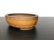 Photo2: "Bigei" Tokoname Pot / Japanese Bonsai Pot  (2)