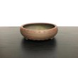 Photo1: "Bigei" Tokoname Pot / Japanese Bonsai Pot  (1)