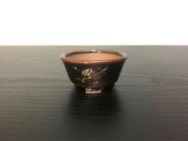Photo1: Satsuma Ware "Black Satsuma" / Ume "Ume no Zu" / Chin Jukan Bonsai Pot  (1)
