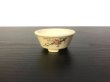 Photo1: Satsuma Ware "Satsuma" / Ume "Ume no Zu" / Chin Jukan Bonsai Pot  (1)