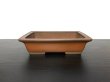 Photo1: "Shibakatsu" Tokoname Pot / Japanese Bonsai Pot (1)