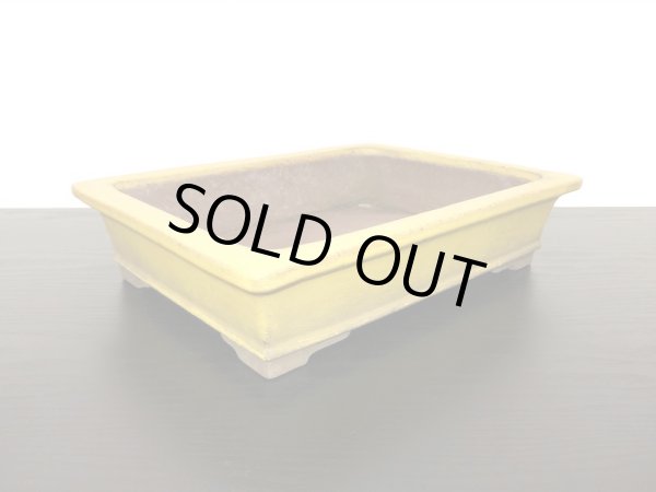 Photo4: "Shousen Yamaaki" Tokoname Pot / Japanese Bonsai Pot  (4)