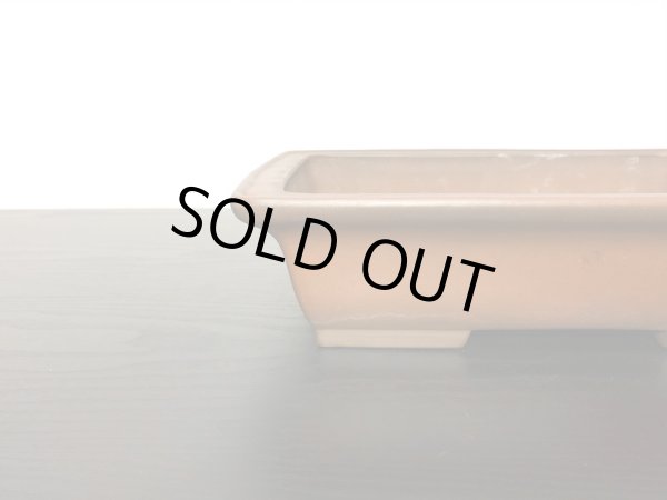 Photo3: "Shibakatsu" Tokoname Pot / Japanese Bonsai Pot (3)