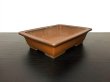 Photo4: "Shibakatsu" Tokoname Pot / Japanese Bonsai Pot (4)