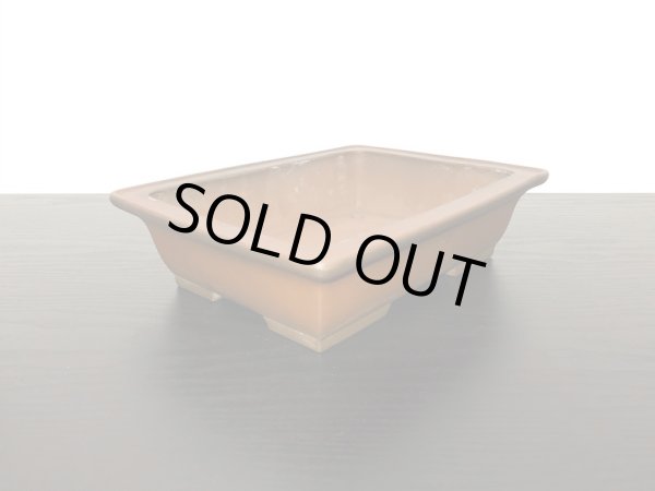 Photo4: "Shibakatsu" Tokoname Pot / Japanese Bonsai Pot (4)