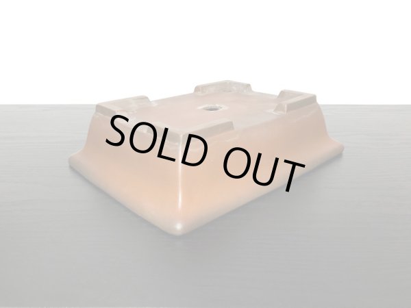 Photo5: "Shibakatsu" Tokoname Pot / Japanese Bonsai Pot (5)