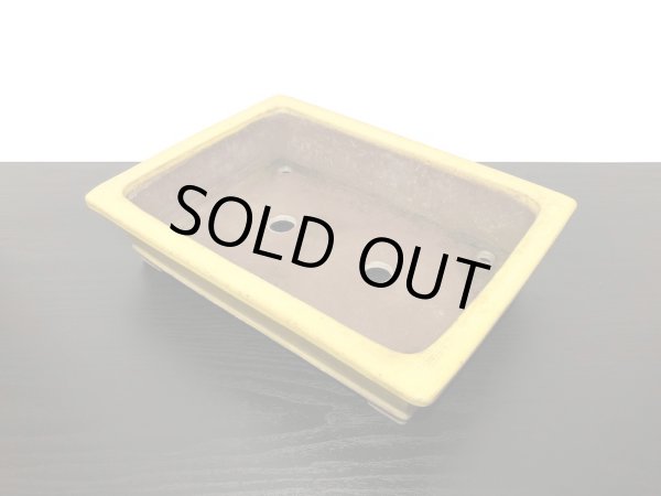 Photo6: "Shousen Yamaaki" Tokoname Pot / Japanese Bonsai Pot  (6)